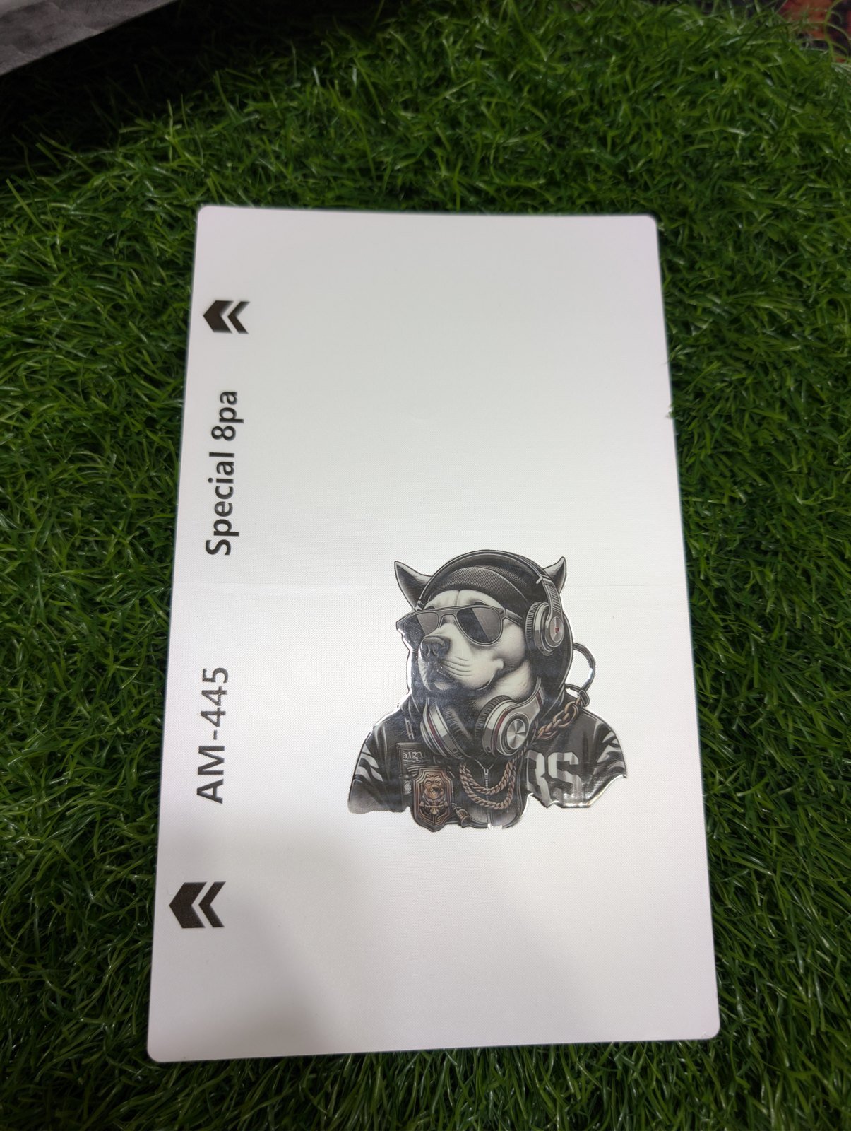 Cool dog sheet 3D Transparent Matte Skin - Price in Pakistan