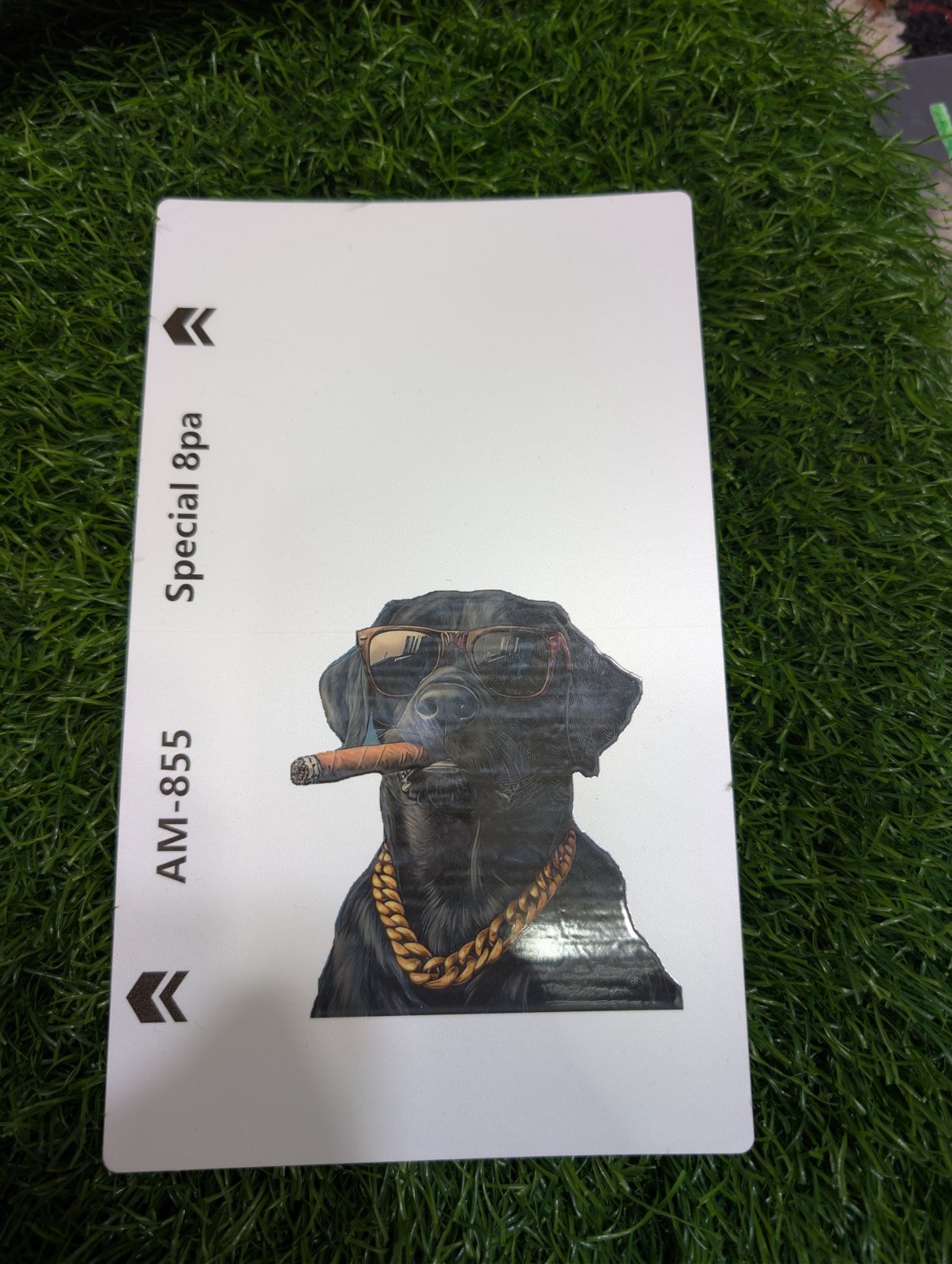 Dog smoking sheet 3D Transparent Matte Skin - Price in Pakistan